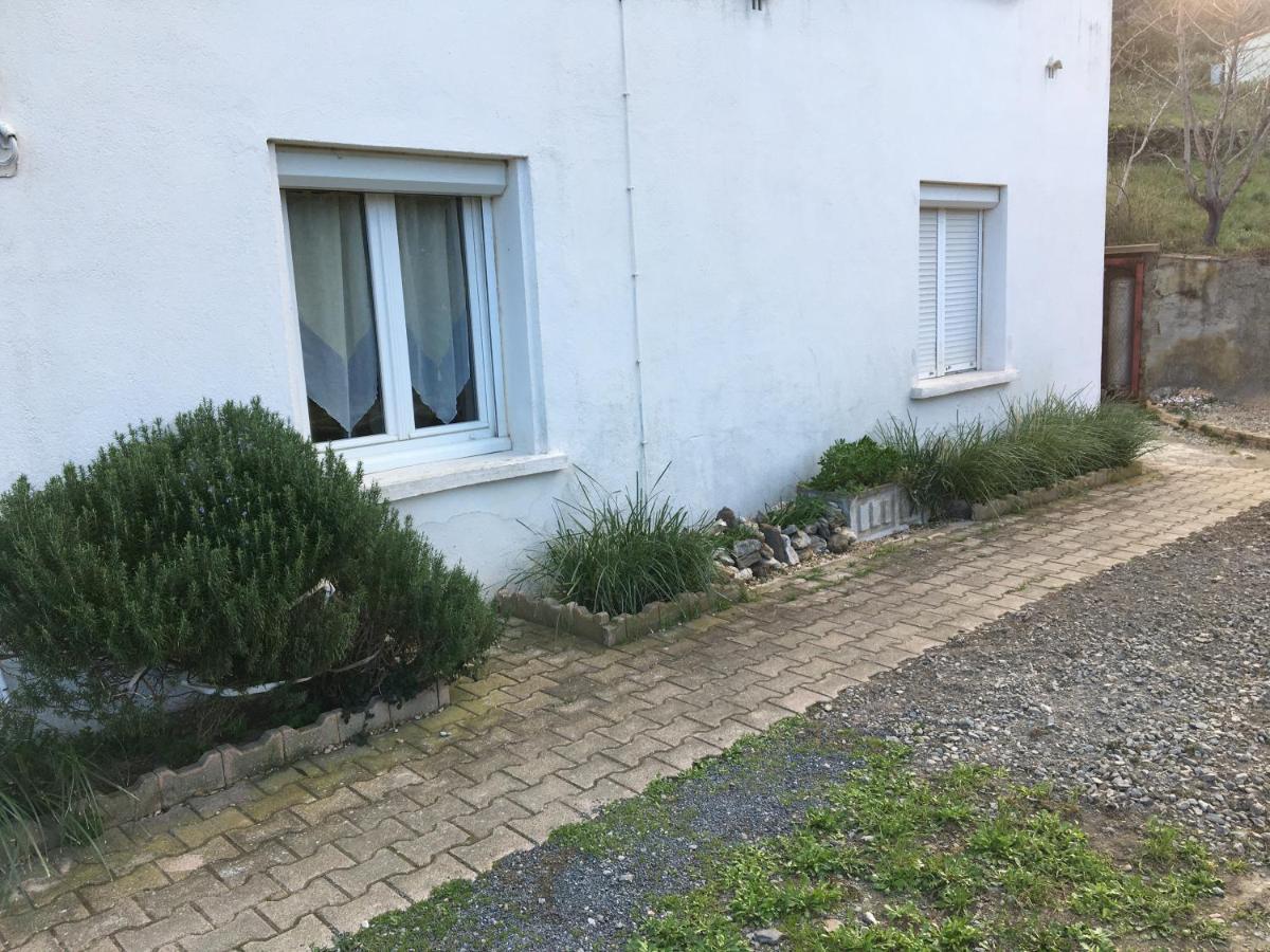 Appartement T1Bis Dans Un Mas Port Vendres Esterno foto
